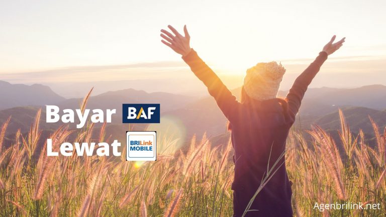 Cara Bayar BAF Lewat BRILink Mobile dengan Mudah