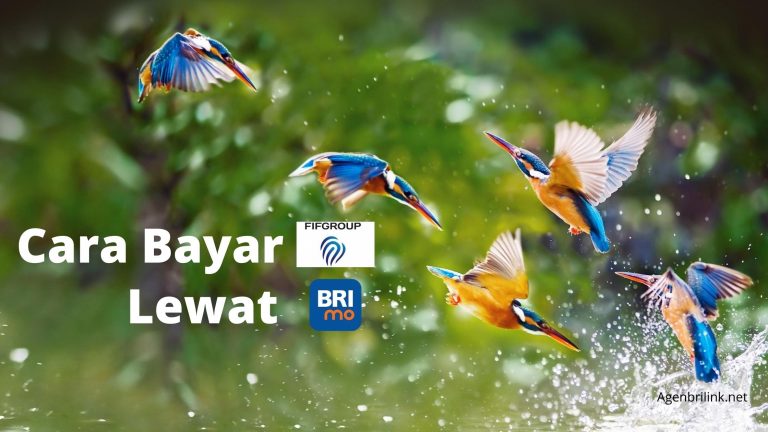 Cara Bayar FIF Lewat BRImo dengan Mudah
