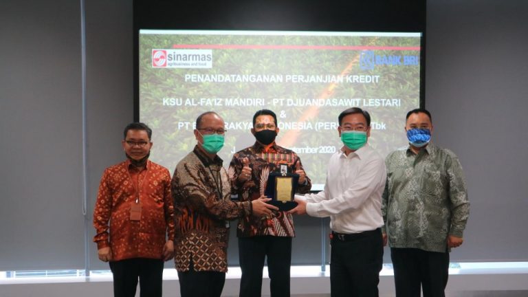 Bank BRI Salurkan Dana Peremajaan Sawit Rp 150 Miliar