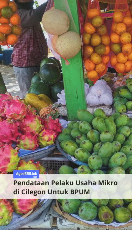 Pendataan Pelaku Usaha Mikro di Cilegon Untuk BPUM