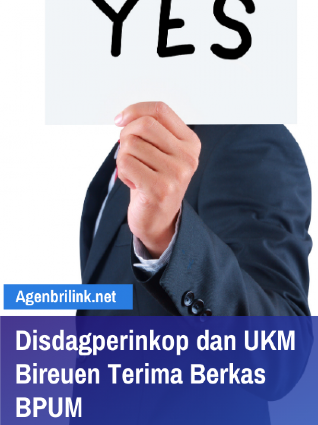cropped-01Disdagperinkop-dan-UKM-Bireuen-Terima-Berkas-BPUM.png