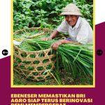 BRI-Agro-Bekerja-Sama-dengan-TaniHub-Genjot-Kredit-Pertanian-FIX-7