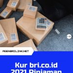 Kur-bri.co_.id-2021-Pinjaman-Untuk-Usaha-Rakyat-1