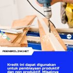 Kur-bri.co_.id-2021-Pinjaman-Untuk-Usaha-Rakyat-11