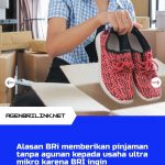 Kur-bri.co_.id-2021-Pinjaman-Untuk-Usaha-Rakyat-16