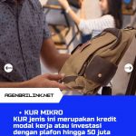 Kur-bri.co_.id-2021-Pinjaman-Untuk-Usaha-Rakyat-4
