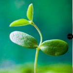 BRI-Terus-Salurkan-Kredit-Optimis-Tumbuh-5-1