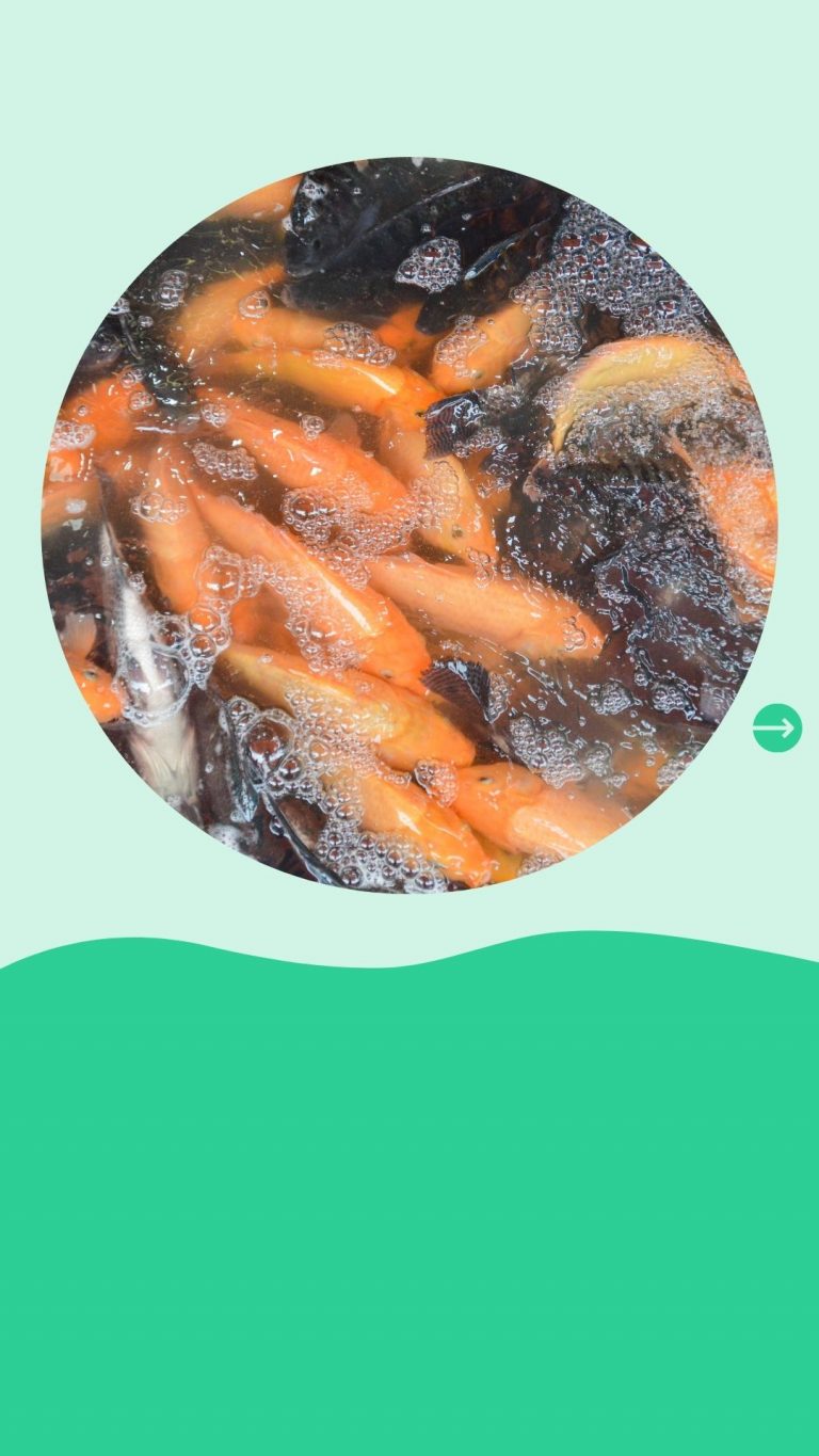 Bantuan Produktif Usaha Mikro BRI Berlanjut di Maret 2021