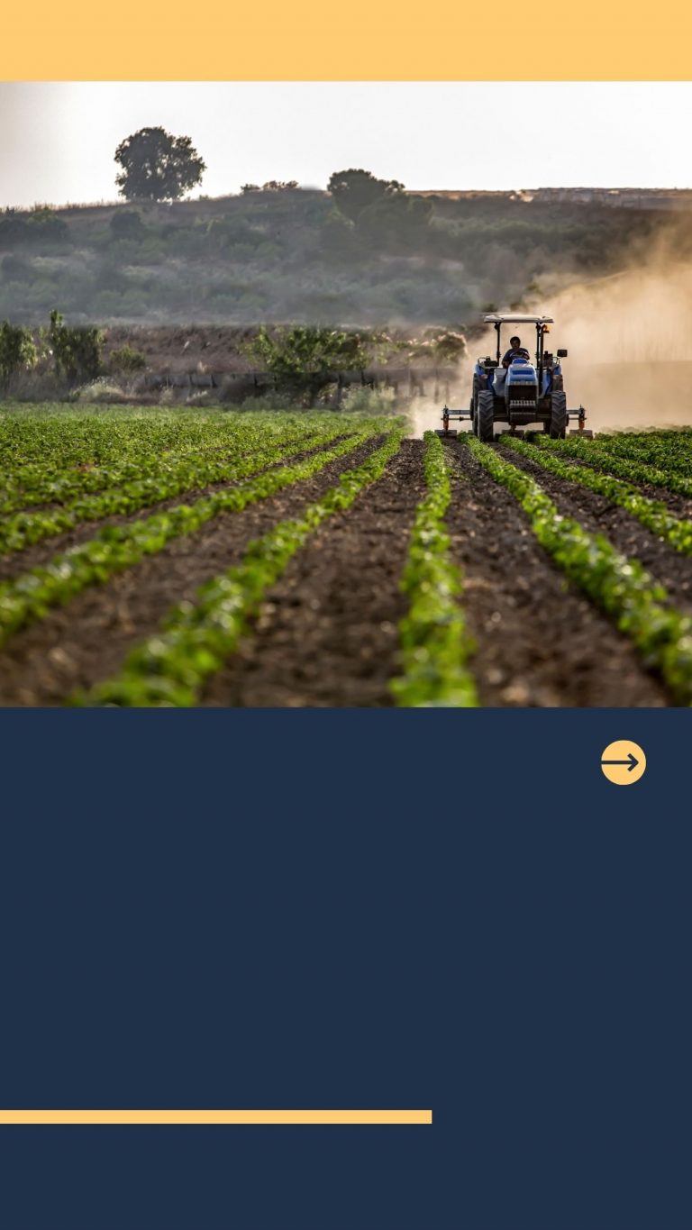 KUR Pertanian Untuk Pertumbuhan Petani dan Ekonomi