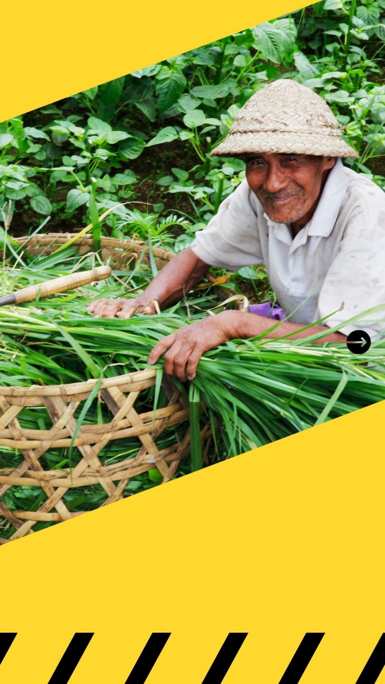 Penerima Kartu Tani Simpi BRI Sukoharjo Meningkat 10.000 Orang