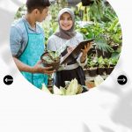 Apakah-Anda-Penerima-BPUM-atau-BLT-UMKM-2021-3