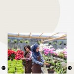 Beberapa-Hari-Lagi-Ada-Info-Pencairan-BLT-UMKM-7