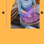 Sudah-Daftar-BPUM-2021-BRI-Cek-Hasilnya-di-Website-e-form-BRI-3