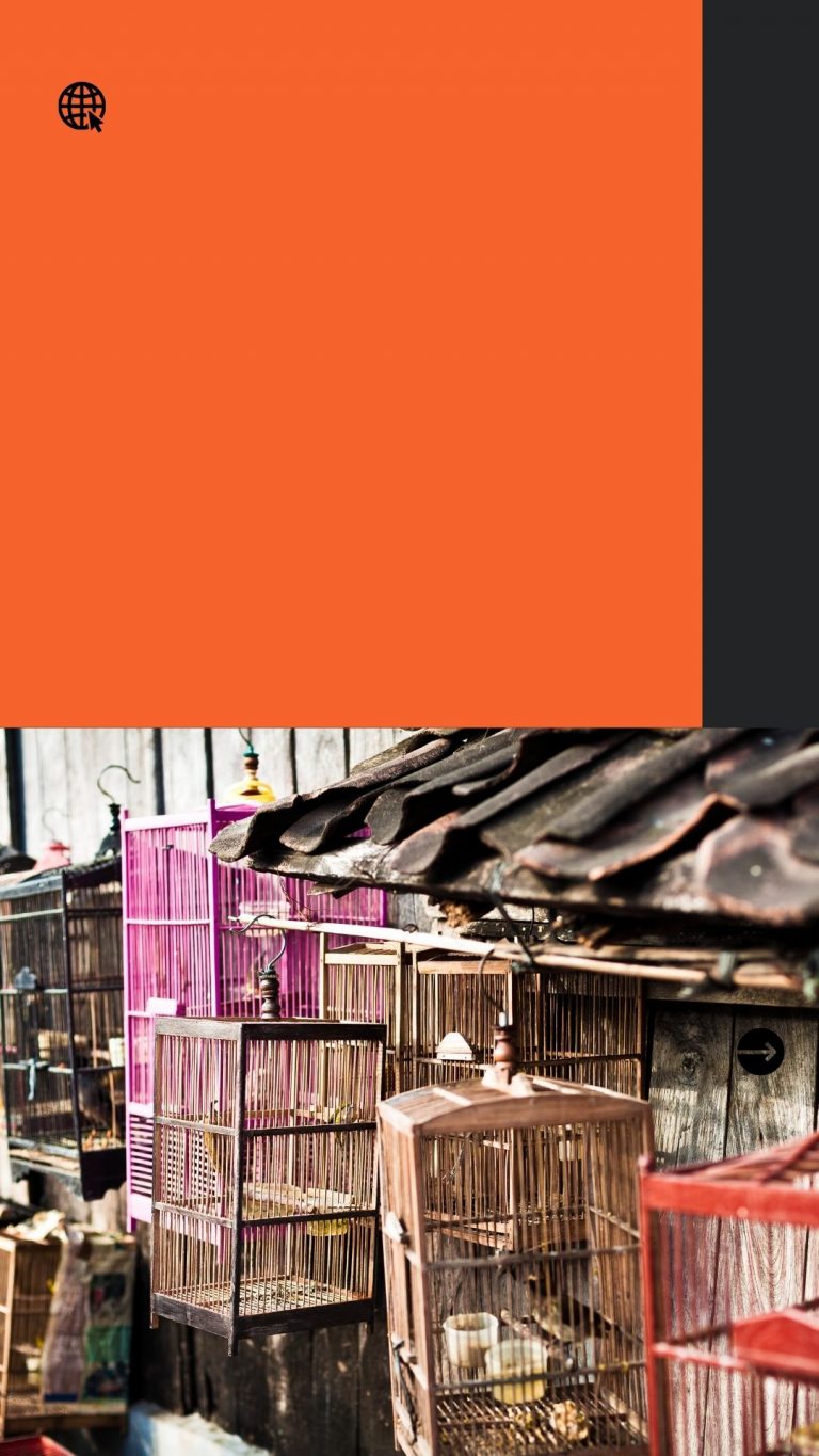 Bank BRI Dorong UMKM Segmen Mikro Bangun Ekonomi