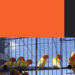 Bank-BRI-Dorong-UMKM-Segmen-Mikro-Bangun-Ekonomi-5