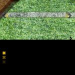 Profil-Paulo-Henrique-Santos-de-Azevedo-Striker-Persiraja-Banda-Aceh-yang-Cetak-Gol-di-Partai-Debut-BRI-Liga-1-5