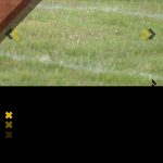 Profil-Paulo-Henrique-Santos-de-Azevedo-Striker-Persiraja-Banda-Aceh-yang-Cetak-Gol-di-Partai-Debut-BRI-Liga-1-7