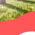 Sejarah-Sepak-Bola-Nasional-di-Liga-1-BRI-6