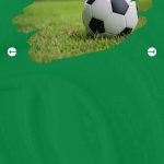 Bhayangkara-FC-Takluk-Persib-Siap-Kudeta-Puncak-Klasemen-Liga-1-5