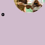 Cara-Cek-Pengumuman-Hasil-Seleksi-Tahap-2-P3K-Guru-2021-Lengkap-Dengan-Tabel-Gaji-P3K-10