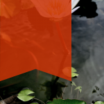 Cara-ke-Tebet-Eco-Park-dengan-KRL-Busway-dan-Mikrotrans-2