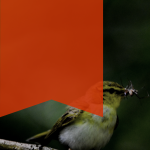 Cara-ke-Tebet-Eco-Park-dengan-KRL-Busway-dan-Mikrotrans-4