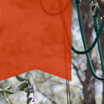 Cara-ke-Tebet-Eco-Park-dengan-KRL-Busway-dan-Mikrotrans-5