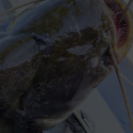 Intip-Usaha-Ternak-Apa-Saja-yang-Menghasilkan-Banyak-Cuan-8