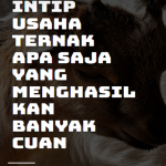 Intip Usaha Ternak Apa Saja yang Menghasilkan Banyak Cuan Poster FIX