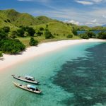 Ingin Sukses Memulai Bisnis Open Trip_ Simak Tips Ini!