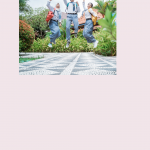 Jadwal-dan-Alur-Pendaftaran-PPDB-SMA-Jakarta-2022-Jalur-Afirmasi-5