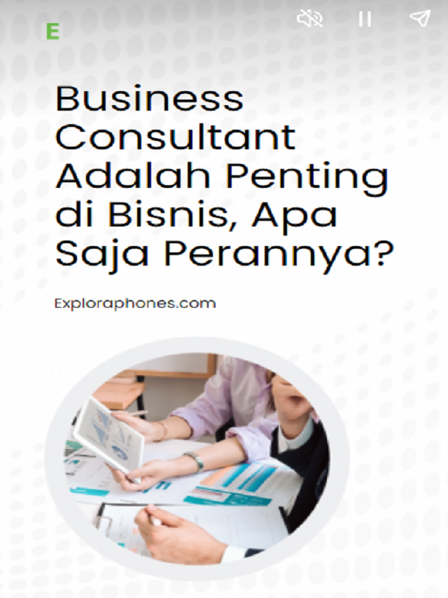 Business Consultant Adalah Penting di Bisnis, Apa Saja Perannya?