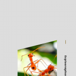 Tips-Bagi-Pemula-yang-Ingin-Bisnis-Kroto-Menguntungkan-1