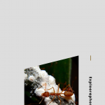 Tips-Bagi-Pemula-yang-Ingin-Bisnis-Kroto-Menguntungkan-2-1