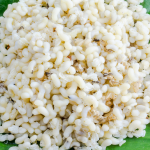 Tips Bagi Pemula yang Ingin Bisnis Kroto Menguntungkan 2