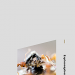 Tips-Bagi-Pemula-yang-Ingin-Bisnis-Kroto-Menguntungkan-3