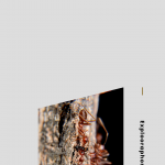 Tips-Bagi-Pemula-yang-Ingin-Bisnis-Kroto-Menguntungkan-7