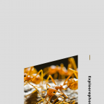 Tips-Bagi-Pemula-yang-Ingin-Bisnis-Kroto-Menguntungkan-8