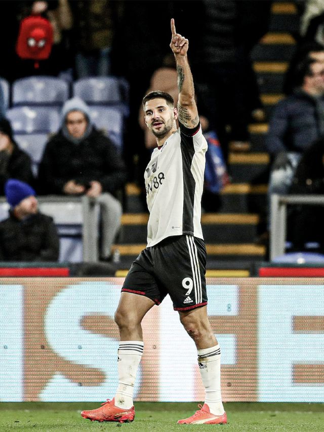 GW17 FPL Stats Did You Sell Mitrovic Too