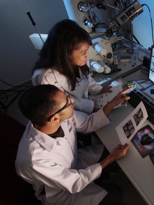 Researchers Found Two New Minerals from El Ali Meteorite